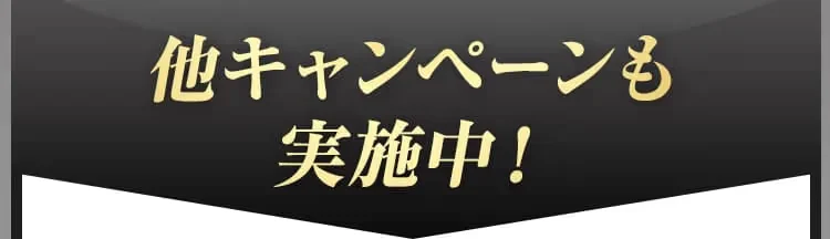 他キャンペーンも実施中