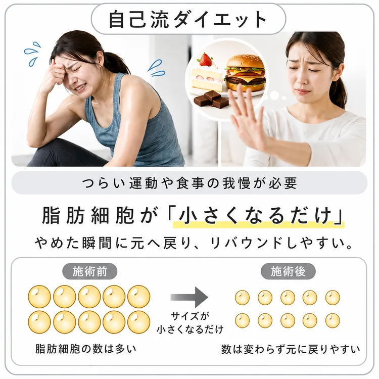 自己流ダイエット:つらい運動や食事の我慢が必要。脂肪細胞が「小さくなるだけ」なので、やめた瞬間に元へ戻りリバウンドしやすい