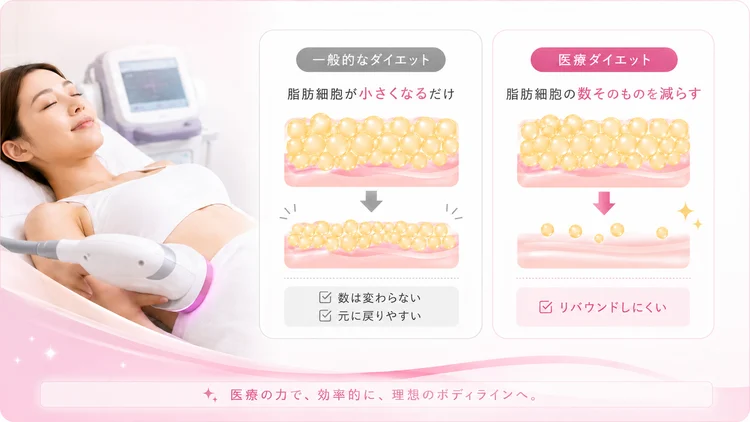 一般的なダイエットは脂肪細胞が小さくなるだけで元に戻りやすい。医療ダイエットは脂肪細胞の数そのものを減らすからリバウンドしにくい